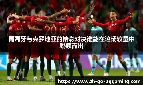 pg模拟器