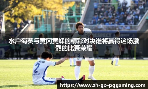 pg模拟器网址