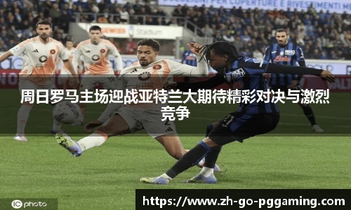pg模拟器