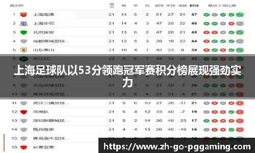 pg模拟器