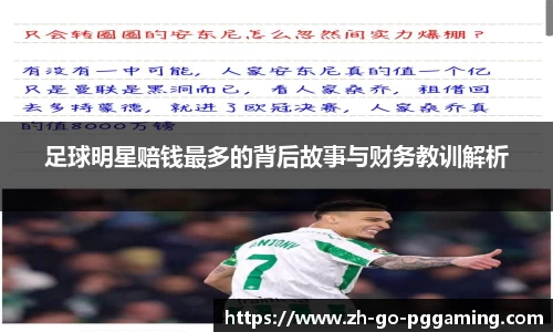 pg模拟器官网下载