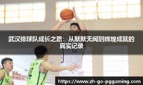 pg模拟器下载