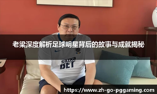 pg模拟器