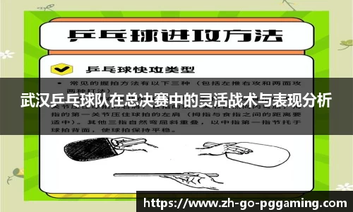 pg模拟器