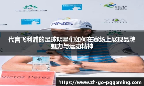 pg模拟器试玩