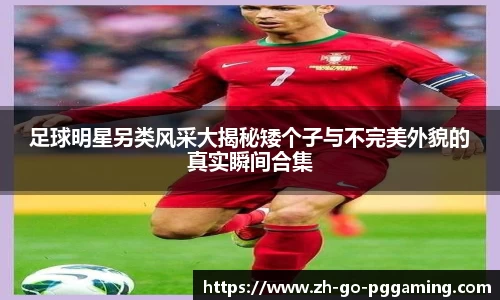 pg模拟器下载