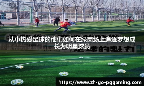 pg模拟器官网下载